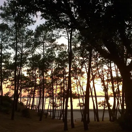 Apartament 2-rooms In Arcachon-style With Garden, Minimum 3 Nights *